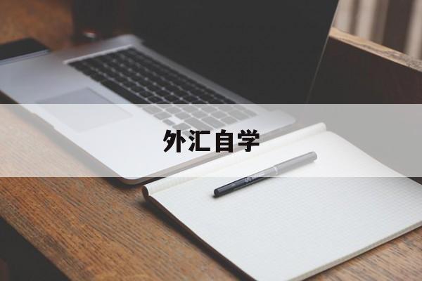 外汇自学(初学者外汇入门)