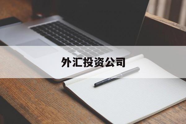 外汇投资公司(外汇投资公司的经验总结)